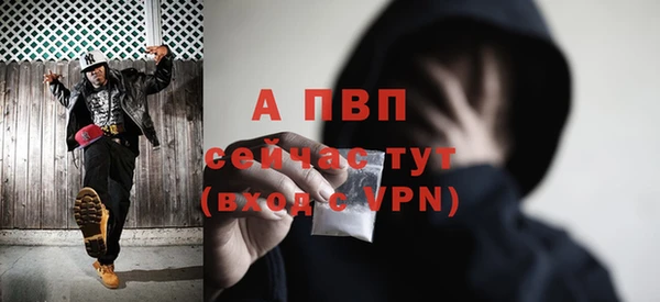 стафф Абинск