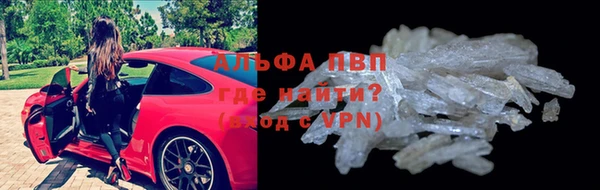 сатива Алзамай