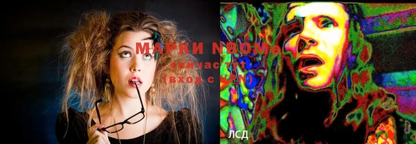 стафф Абинск