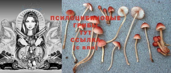 стафф Абинск