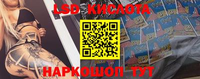тгк Славгород