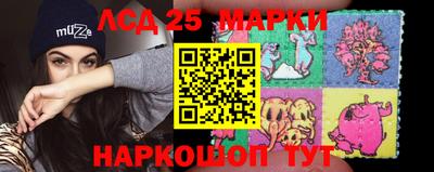 jwh Сланцы