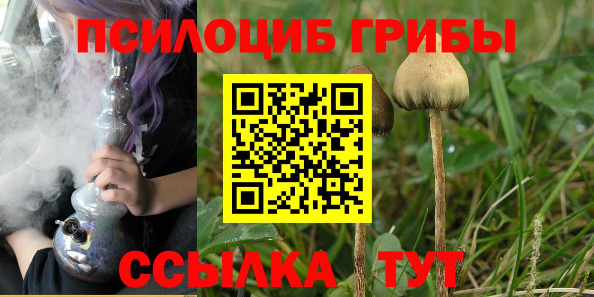 Элиста  Псилоцибиновые грибы прущие грибы  Вход с VPN  Галлюциногенные грибы Psilocybine cubensis 